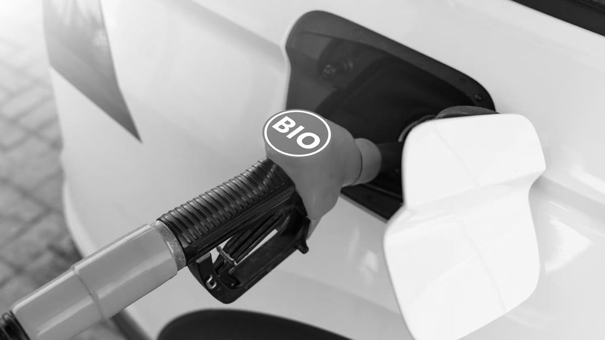 Fotografía que ilustra la noticia: La rebaja fiscal a los biocombustibles no abarata el depósito: la vía renovable gana en eficiencia